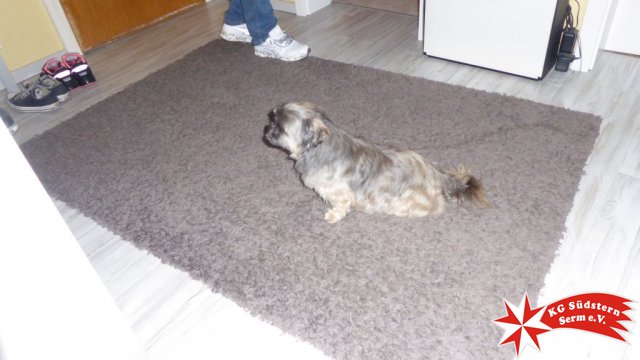 17.02.2020 - Geburtstag Pia Wiesener